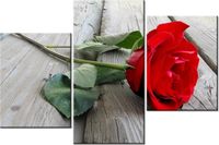 product-compare-58699464