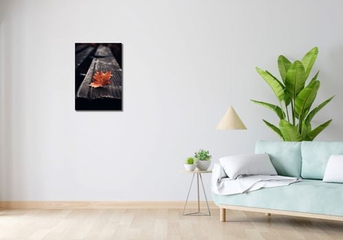 Obraz 40x60cm Pojedynczy Liść na Arena.pl