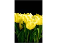 product-compare-58712235