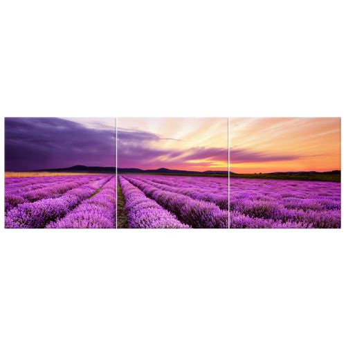 90X30 Obraz Na Prawdziwym Płótnie na Arena.pl