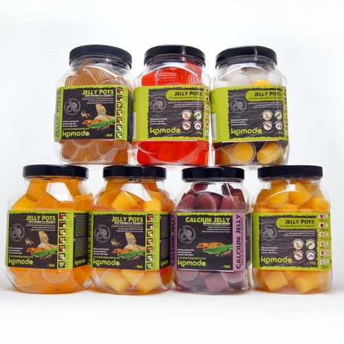 Komodo Jelly Pot Classic na Arena.pl
