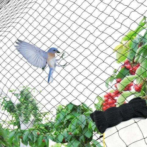 MOCNA SIATKA przeciw PTAKOM na BALKON na Drzewka Wolierę 7,5 x 7,5 m zdjęcie 11