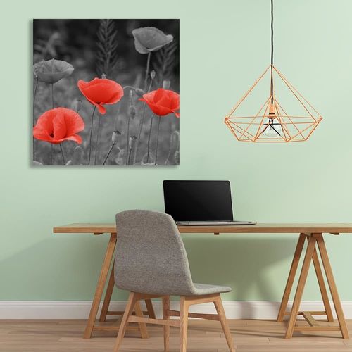Deco Panel, Maki na łące 40x40 na Arena.pl