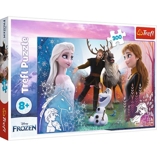 Puzzle 300 Magiczny Czas Frozen 2 23006 na Arena.pl
