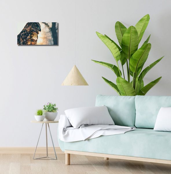 Obraz 40x20cm Sowi Duch zdjęcie 2