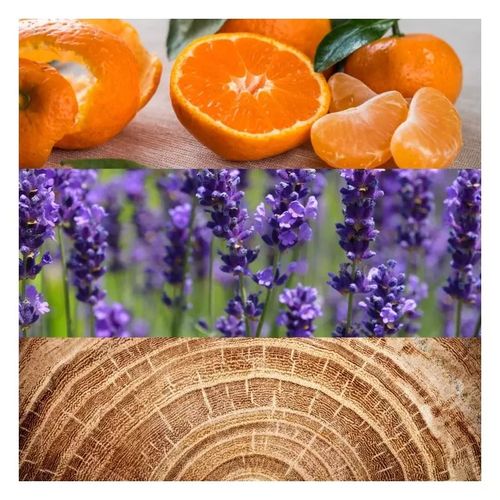 Obsession for Men dezodorant sztyft 75g na Arena.pl