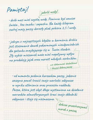 DJ Nioska Sypka Pasza dla kur niosek Karma Dla Nioski Drobiu Neorol 25kg na Arena.pl