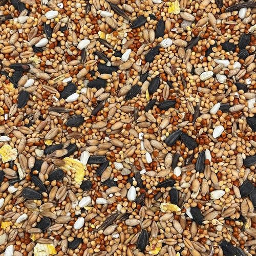 MIX DLA PAPUG FALISTYCH i ŚREDNICH Karma 20kg Nimfa Rozella STANDARD Champi na Arena.pl