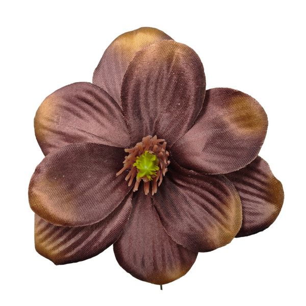 Magnolia wyr. brązowa 24 szt zdjęcie 1