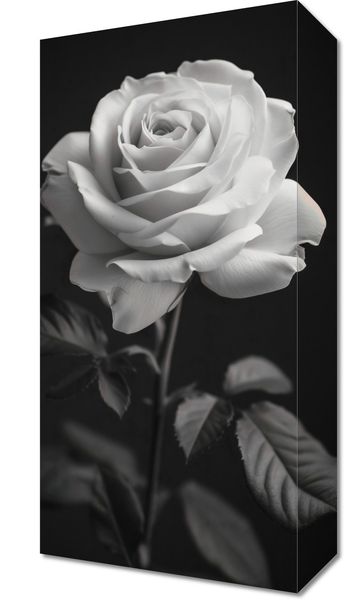 Obraz 20x40cm Płatki Róż zdjęcie 1