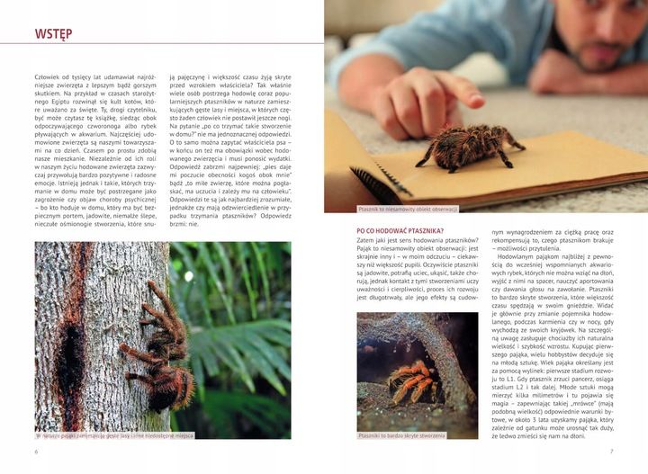 Atlas Pająków Książka O Pająkach Hodowlanych Encyklopiedia P. Malgrab SBM zdjęcie 2