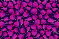 Tło PRODUKTOWE kulinarne Flat Lay na bloga insta