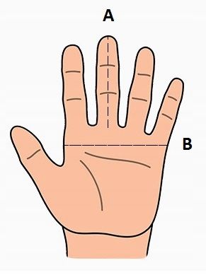 ZIMOWE RĘKAWICZKI DOTYKOWE WODOODPORNE WIATROSZCZELNE SURVIVAL na Arena.pl