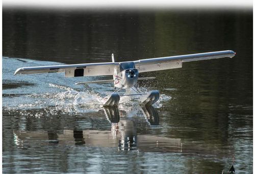 Timber BNF Basic na Arena.pl