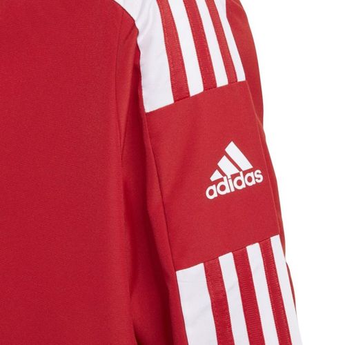Bluza adidas Squadra 21 Presentation Jacket Jr GP6439 128cm na Arena.pl