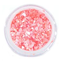 Płatki muszli kruszonej do paznokci ozdoby do hybrydy żelu CS13