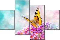 product-compare-58708754