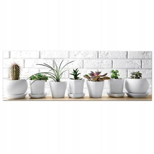 Nadruk na płótnie Cactus 90x30 cm wzór 1 na Arena.pl
