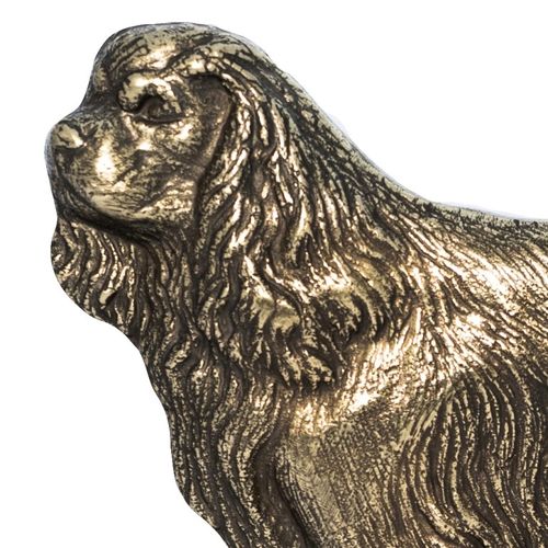 Cavalier King Charles Spaniel - tabliczka - 1671 na Arena.pl