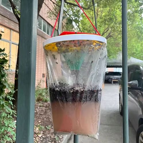 bros - worek na muchy na Arena.pl