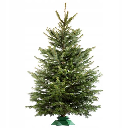 STOJAK CHOINKOWY PODSTAWKA POD CHOINKĘ DO 2 M na Arena.pl