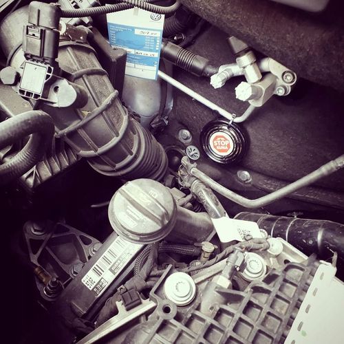 ODSTRASZACZ KUN SKUTECZNY I SOLIDNY PREPART POD MASKĘ SZYBKI I ŁATWY MONTAŻ na Arena.pl