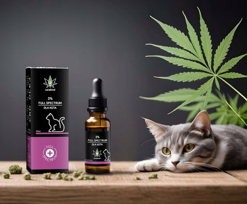Olejek CBD Full Spectrum 3% 10 ml dla Kotka Kota od farmaceuty bezpieczny na Arena.pl
