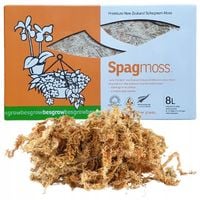 Mech Sphagnum 8L Besgrow Spagmoss Classic torfowiec 100G podłoże pH