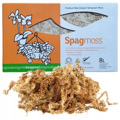 Mech Sphagnum 8L Besgrow Spagmoss Classic torfowiec 100G podłoże pH na Arena.pl