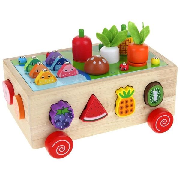 Gra Montessori Sorter Warzywa Marchewki Robaczki zdjęcie 2