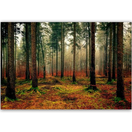 Obraz na płótnie - Canvas, Kolorowy las 90x60 na Arena.pl