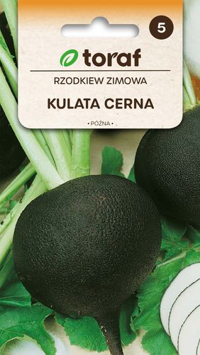 Rzodkiew Czarna Kulata Cerna 5G Nasiona Rzodkwi na Arena.pl