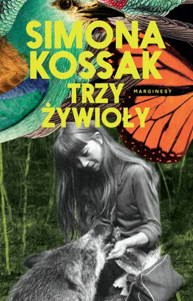 Trzy żywioły zdjęcie 1
