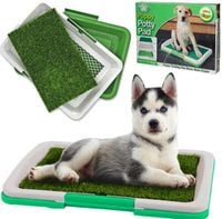 KUWETA TRAWĄ DLA PSA PSÓW SZCZENIĄT MATA DO NAUKI