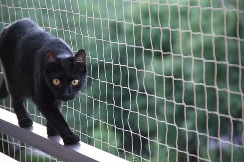 ZESTAW SIATKA NA BALKON DLA KOTA GOŁĘBIE 4x2m, OCZKO 50mm BEZ WIERCENIA na Arena.pl