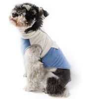 Bluza Polarowa Dla Psa Płaszcz Dla Psa L Niebieski