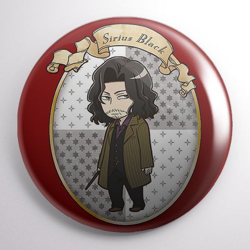 Przypinka Harry Potter na Arena.pl