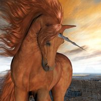 fototapety FOTOTAPETA 3d dekoracyjna koń konie