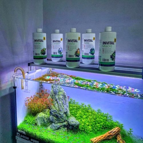 INVITAL Macro 500 ml na Arena.pl