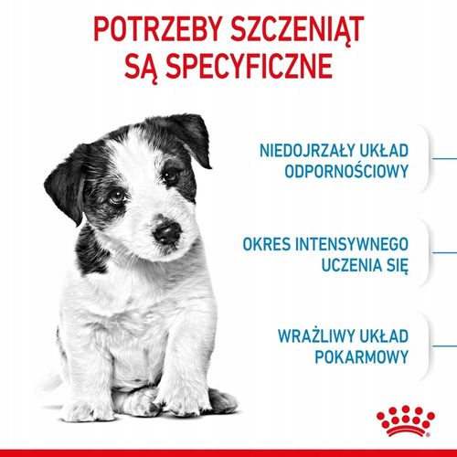 ROYAL CANIN Mini Puppy 2kg na Arena.pl