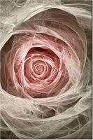 product-compare-58704335