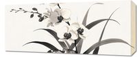 Obraz 70x30cm Orchidea