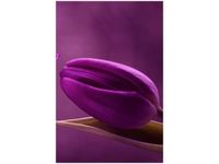 40X60CM FIOLETOWE TULIPANY OBRAZ