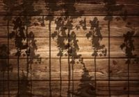 FOTOTAPETA drewno deski tło drzewa 3D na wymiar