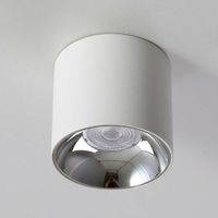 Lampa sufitowa Roller DLW10WW tuba LED 10W 3000K do przedpokoju biała