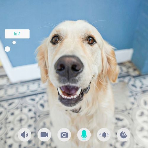 Kamera Monitorująca Zewnętrzna WiFi IP 3MP 2K na Arena.pl