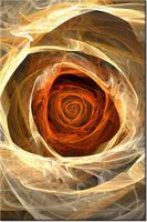 product-compare-58710356