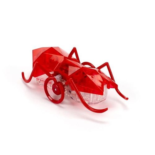 Hexbug Mikro mrówka na Arena.pl