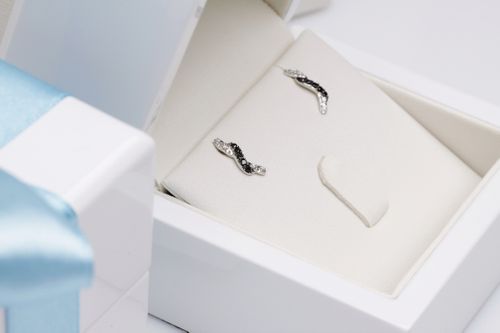 Kolczyki Staviori KBD1909 na Arena.pl