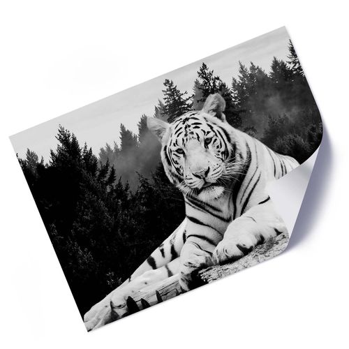 Plakat, Tygrys w lesie 100x70 na Arena.pl